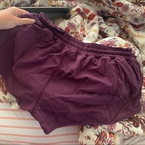 Purple Hotty hot shorts 2.5 inch